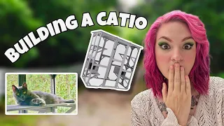 building my cats a catio 🐈