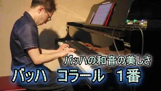 バッハ　コラール　１番　371の四声コラール集より　Bach 371　vierstimmige Chorale BWV 269