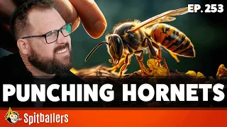 Punching Hornets & Things That Start with 'S' - Episode 253 - Spitballers Comedy Show