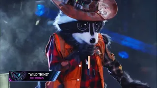 Raccoon Performs "Wild Thing" By The Troggs | Masked Singer | S5 E1