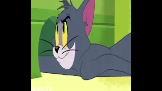 tom and jerry