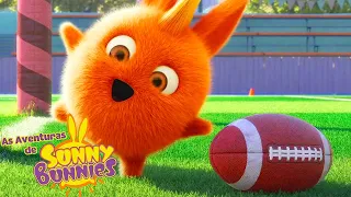 jogar bola | As Aventuras de Sunny Bunnies | Desenhos Animados Infantis