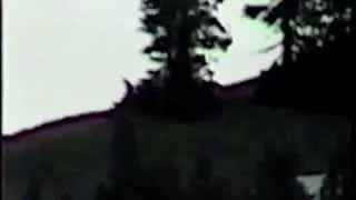 Marble Mountain Bigfoot Original Video