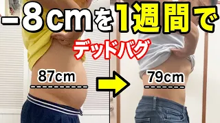 【デッドバグぽっこりお腹痩せるダイエット】デッドバグぽっこりお腹ダイエットで痩せる！ウエストを細くする方法&ストレッチ&腹筋トレーニング【下腹部痩せる】