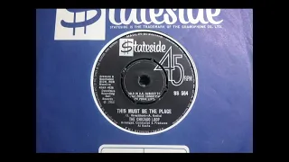 Garage Psych - THE CHICAGO LOOP - This Must Be The Place - STATESIDE SS 564 UK 1966 Raver Dynovoice