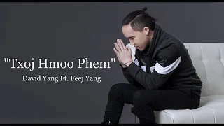 Txoj Hmoo Phem by David Yang