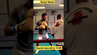 David Morrell se ve con ritmo #boxing #boxeomundial #boxeo