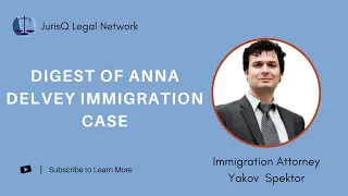 Digest of Anna Delvey Immigration Case: Attorney Yakov Spektor Comments