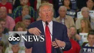 Donald Trump Accused of Mocking Reporter with Disability