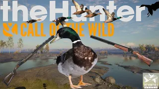 Hunting Ducks with every shotgun in the game (The Hunter Call Of The Wild)