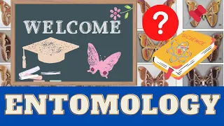 Introduction to Insects & Entomology: Why are they important? Bug School 🐞 Entomology Course