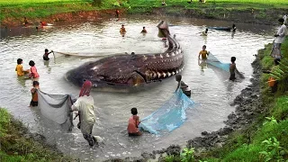 Face To Face With Epic Amazon River Monster