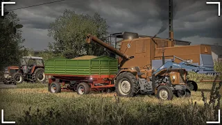 🔥Żniwa Pszenicy 🔥Ryk Bizona🔥Polska Wieś🔥2xUrsus & Zetor🔥AV🔥FS22 ✓