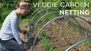 Garden Netting: Protecting crops in the Veggie Garden