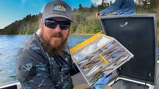 Jerkbait Tricks For Early Fall Bass Fishing! (Beginner To Advanced)