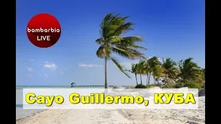 ОТДЫХ НА КУБЕ. Остров Кайо-Гильермо (Cayo Guillermo). Лучшее место для кайтинга!