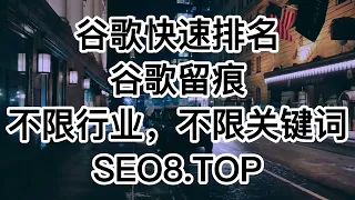 谷歌快速排名-SEO8.TOP-谷歌留痕-快排引流-泛站蜘蛛池