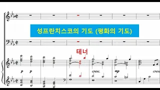 성프란치스코의 기도 (평화의 기도) - 테너