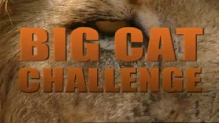 Big Cat Challenge [Teaser trailer]