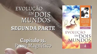 SEGUNDA PARTE - CAPÍTULO 15 - PASSE MAGNÉTICO - LIVRO EVOLUÇÃO EM DOIS MUNDOS