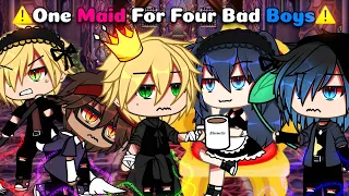 🔥 One Maid Made The Four Bad Boys Under Her knees ✨ || Meme ||  {ORIGINAL🌟} || Mlb🐞 || AU ||