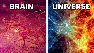 The Universe is a BRAIN? | Are we living in someone's MIND!