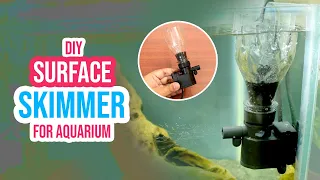 DIY Surface Skimmer for Aquarium: Remove Surface Film with This Trick