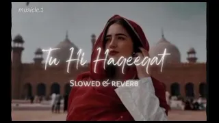 Tu hi haqeeqat (slowed+reverb) song lofi music #viral #lofi