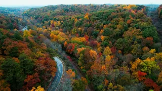 Fall In Indiana