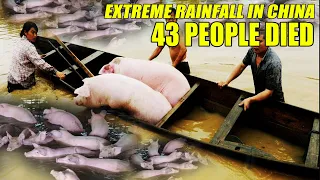 Extreme rainfall in China: more than 25 inches dropped in 24 hours, 43 people died |China flood