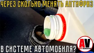 Через сколько менять АНТИФРИЗ (ТОСОЛ): ПОДРОБНО