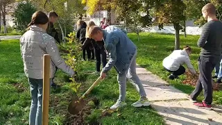 Еко-країна_ХБМФК_ХОР_акція "Посади_дерево"