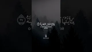 Сура - Аль Фаджр(заря) | Omar Hisham Al Arabi