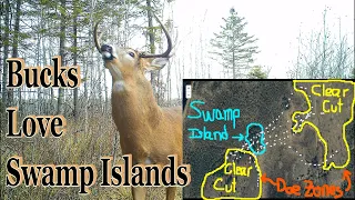 Hunting Swamp Islands; Strategy