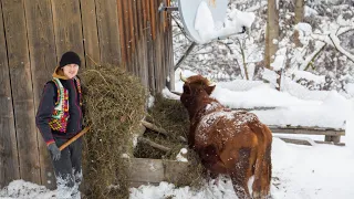 1 Day in the life of the INDIGENOUS inhabitants of the Carpathians - HUTSULIV In winter 2023