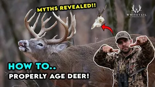 How to ACCURATELY Age Your DEER! SECRET Revealed!