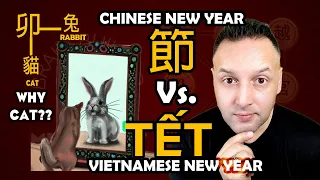 Year of Cat 🐈 vs. Rabbit 🐇 - Vietnam Tết vs. Chinese New Year SOLVED