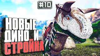 Карнораптор, виверна и стройка #10 Additional Creatures 2 карта Олимпус