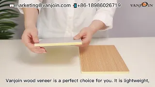 A wonderful interior wall material || Vanjoin wood veneer