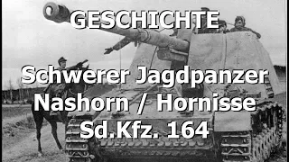 Panzerabwehr-Hornisse aka Nashorn | Geschichte