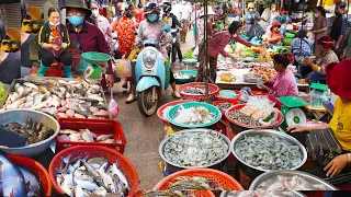 Massive supplies of fish, vegetables, meat and street food, Cambodian food tour