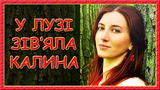 Українські пісні про кохання. У лузі зів'яла калина