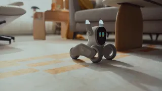 Loona новый робот для всей семьи