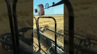 Ride along wheat harvest