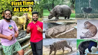 EXPLORING DELHI ZOO For FIRST TIME😍😱- White Tiger, Jaguar, Lion, Rhino, Bear, Crocodile Etc.