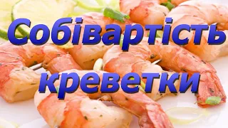 Собівартість 1 кг прісноводної креветки для початківців