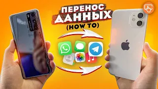 С Android  на IOS | Как перенести почти все данные | Пошаговая инструкция