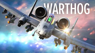 The Beast Of Close Air Support  | DCS World