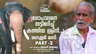 അടിച്ചു വീഴ്ത്തി കുത്തിയപ്പോൾ തുമ്പിക്കും കൊമ്പിനും ഇടയിൽ എൻ്റെ കാല് പെട്ടു....!