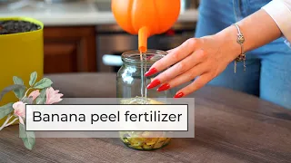 Banana Peel Fertilizer for Plants | Easy DIY Fertilizers